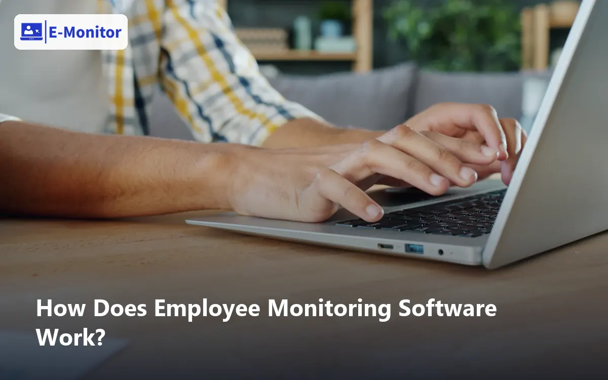 How Does Employee Monitoring Software Work?
