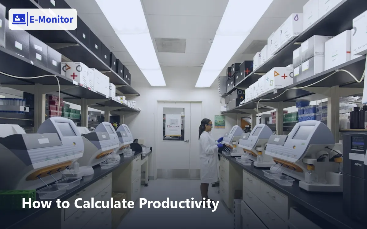How to Calculate Productivity