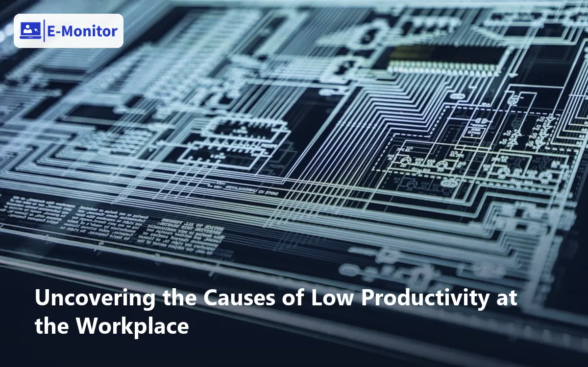 Uncovering the Causes of Low Productivity at the Workplace